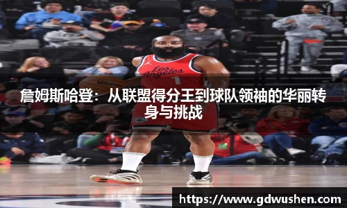 B体育bsports